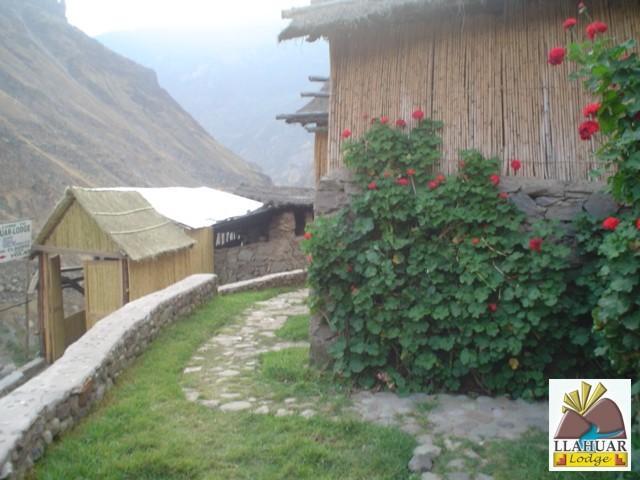 Llahuar Lodge Cabanaconde Eksteriør billede